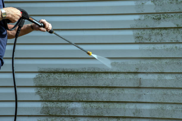 Best Affordable Power Washing  in Durant, IA