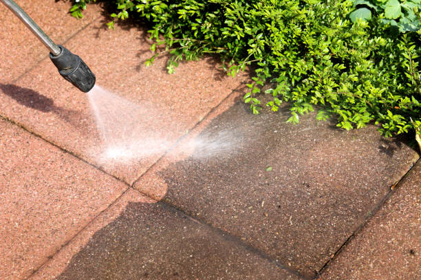 Best Concrete Pressure Washing  in Durant, IA
